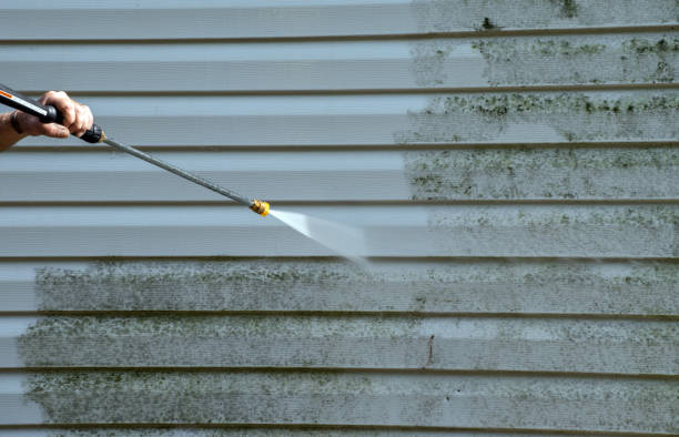 Best Pressure Washing Company Near Me  in Hampshire, IL