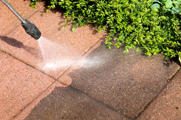 Best Roof Power Washing Services  in Hampshire, IL